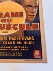 1936 Moonlight Murder Pre War Belgian 24x34    Movie Poster Madge Evans