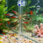 Fish Feeder For Aquarium Tank Shrimp Feeding Dish Food Bottom Tube