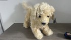 Fao Schwarz Adopt A Pets 15    Golden Retriever Puppy Dog Plush Stuffed Animal Nwt
