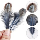  60pcs Natural Plumage Feathers 2-3 Inches Fluffy Spotted Pheasant Feathers 