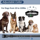 2025 Dog Training Collar 4900ft Remote Rechargeable Shock Waterproof Trainer New