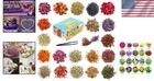 Exquisite Dried Flowers Collection - 20 Bags For Diy Soap  Candle   Bath Crafts