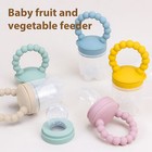 Baby Fruit Feeder Teething Toys Baby Feeder Food Pacifier Massaging Toy Teether