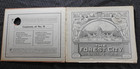 1904  the Forest City  St  Louis World s Fair Lots Of Photographs Oversize Book
