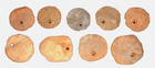  9  Large Sahara Neolithic Quartz Disk Beads 3 5k-8k Yrs Ancient African Zm-15