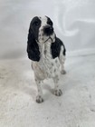 Border Fine Arts English Springer Spaniel Black And White 2001