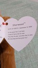 Ty Beanie Babies Sherwood Bear 2002 Mwmt