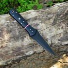 Handmade D2 Steel Blade Hunting Double-edged Dagger Knife Full Tang X293