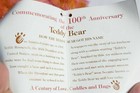Avon Year Of The Teddy Bear 100th Anniversary 2002 Reddish Pink Plush
