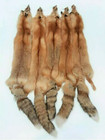 Tanned Canada   Red Fox Winter    heavy Fur    Xl Pelt  Hide  Medium Grade  canrfmg 