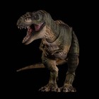 In Hand   New Nanmu Alpha Tyrannosaurus Rex 3 0 Action Figure Statue Model