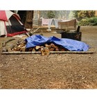 Large Multi-purpose 20  X 30  Heavy Duty Waterproof Poly Tarp 8x8 Weave Blue