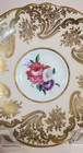 Paragon Engish Bone China Saucer A565 Floral Center Gold Scroll On Pink