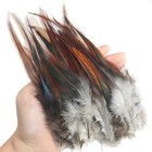 Luorng 50pcs Natural Rooster Tail Feathers Diy Accessories Feathers Black Red