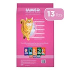 Iams Proactive Health Adult Sensitive Digestion   Skin  Dry Cat Food With Tur   