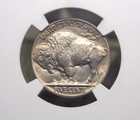 1928  p  Indian Head Buffalo Nickel 5c Ngc Ms64  031 Unc Bu Uncirculated Ecc c