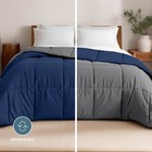 Bare Home 1800 Ultra-soft Goose Down Alternative Comforter - Reversible Colors