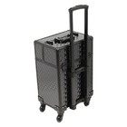 Makeup Trolley Rolling Makeup Train Case Durable Large Capacity Organizer W lock