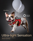 Service Dog Vest For Small Dogs - Air Mesh Breathble Emotional Support Animal Ve