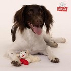 Lamb Chop Dog Plush Toy 6  - Squeaky  Soft Stuffed Animal For All Dogs  Cream