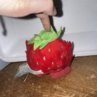 Neopets Strawberry Jubjub Keyquest Plush Vintage Stuffed Toy 