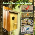 Large Bird House Bird Houses Outside Clearance Cedar Birdhouses Outdoors Wood