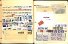 Canada Stamp Collection On 24 Stock Pages  Interesting Lot Accumulation  ja 