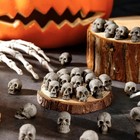 24 Pcs Mini Skull Heads  Miniature Skeleton Heads Figurines  Tiny Resin Skulls F