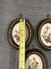 Vintage Framed Pressed Flowers Oval Set Of 3