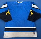 Vintage Springfield Falcons Ahl Hockey Jersey Bauer Size Medium 