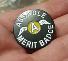 A shole Merit Badge Lapel Pin Brooch A s Hole A Wings Enamel Funny Pinback Black