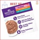 Wellness Complete Health Pate Variety Pack Kitten Canned Wet Cat Food  Natural 