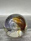 Dynasty Gallery  Paperweight Amber With Stripes And    egg     u 