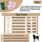 Washable Dog Diapers Physiological Pants Cute Cartoon Print Female Dog Diaper Un