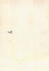 Vintage Wwii 1944 Papuan Indigenous Sing-sing Ceremony Photo Papua New Guinea
