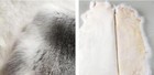 5pcs Real Farm Rabbit Skin Pelts Fur Hides Natural Soft Leather Tanned Diy Craft