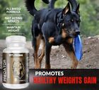 Muscle Builder For Dogs   Canine Nutricional Supplement For Dog Predator 30 Chew