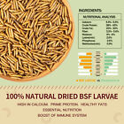 Lot Bulk Dried Bsf Mealworms For Wild Birds Food Chickens Hen Fish Treats Food