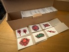 200  Flesh Bullet Holes Temp Tattoos Bulk Vending Machine Full Box Old Stock