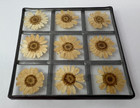 Vintage Set Of 4 Pressed Daisy Flowers Glass Coasters Metal Edges Footed