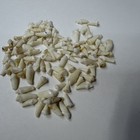 Lot Of 100 Assorted Small Coyote Teeth Real Cleaned Taxidermy Weird Goth  2481