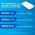 Equate Uncoated Nicotine Gum 2 Mg Cool Mint Flavor  200 Count     Stop Smoking Aid