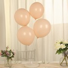 50 Blush 12  Biodegradable Latex Matte Pastel Balloons Party Wedding Decorations