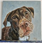 Original Oil Painting Pet Portrait 9  12   Cute Dog i Do Custom Work From Photo