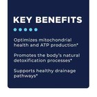 Cellcore Biosciences - Step  1  Energy   Drainage