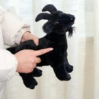 New Black Goat Plush Toy 18cm Stuffed Animal Toddler Doll Gift For Kids