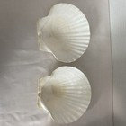 2 Large White Scallop Shells Abt 5  Sea Shells Beach Decor Craft Jewelry Dish