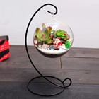 Selected 108 Pcs Fairy Garden Accessories Fairy Garden Kit Miniature Figurines
