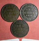 3 Different Canada Large Cents Lot A1  All 1800 s  Up To Extra Fine W  Varieties