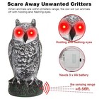 Realistic Owl Decoy W  Sound   Lighting Eyes Outdoor Garden Repellent Bird Scare